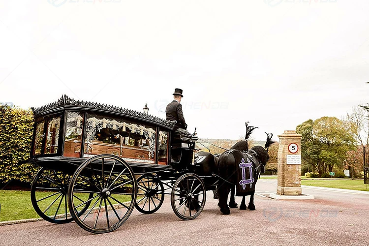 Horse Drawn Funeral Hearse/Carriage Silver Glass Covered Coffin Horse Carriage Victorian Silver Funeral Horse Drawn Carriage