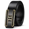Gold buckle