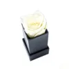 Crema (Blanco)-1 Rosa