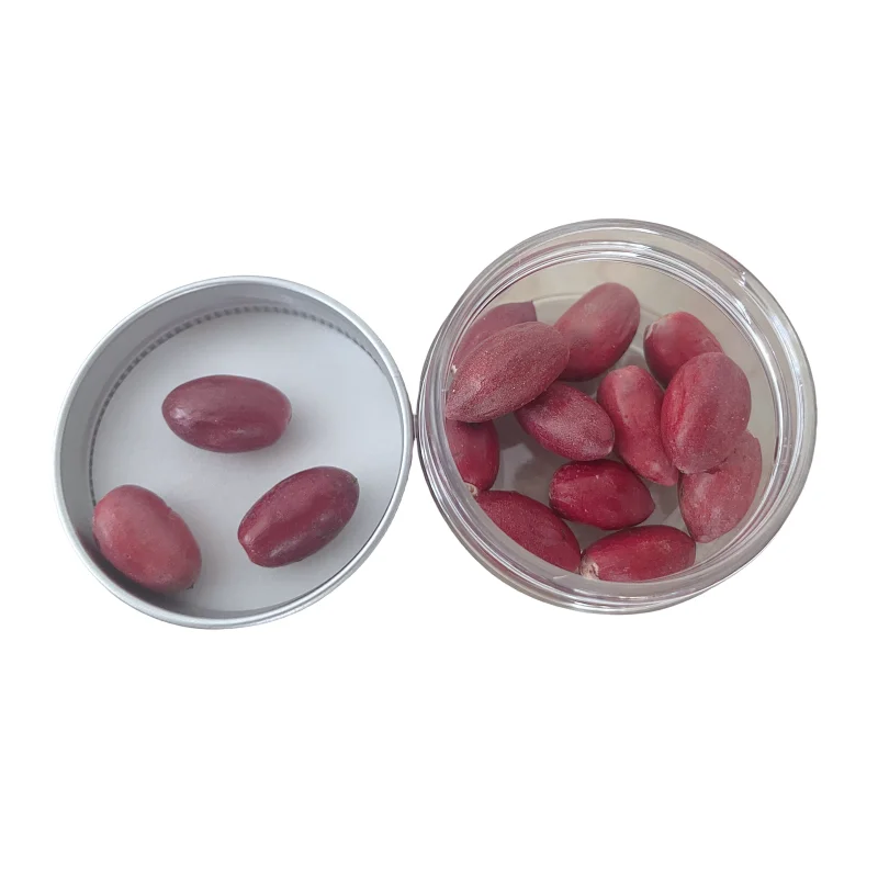 Wholesale Supplements  Dried Miracle Berry  Freeze Dried Miracle Fruit Berries with Customized Packing