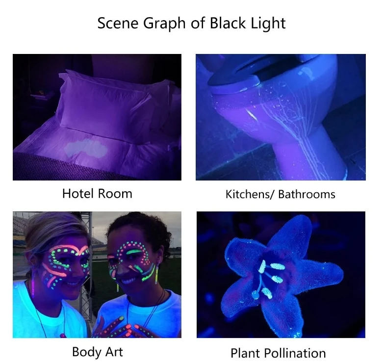 Clover Detector Ultraviolet Black Light Led Uv Flashlight / Torch For