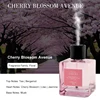 Cherry Blossom Boulevard