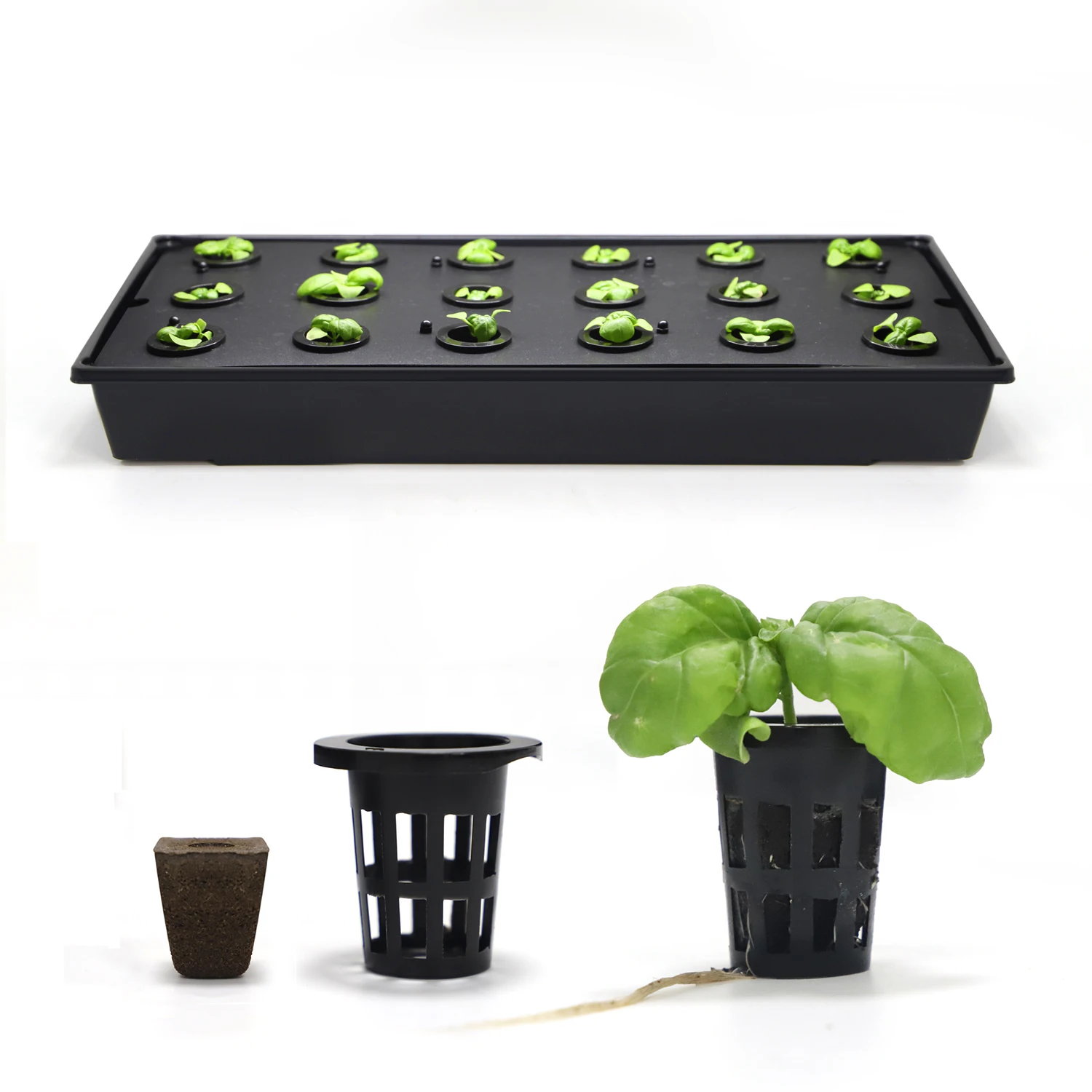 10 Vasi A Rete Idroponica In Plastica Nera – Diametro 5,5 Cm, Altezza 6,6 Cm – Per Coltivazione E Semina