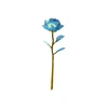 Blue (Macron)