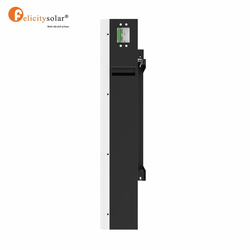 Baterie solara litiu LiFePo4 de perete 48V 200Ah 10,24 kWh PowerWall Scorteni