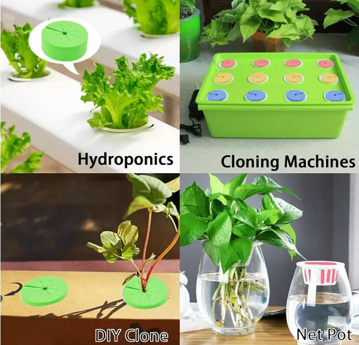 GROWNEER 120 Packs 2 Inches Garden Clone Collars Cloning