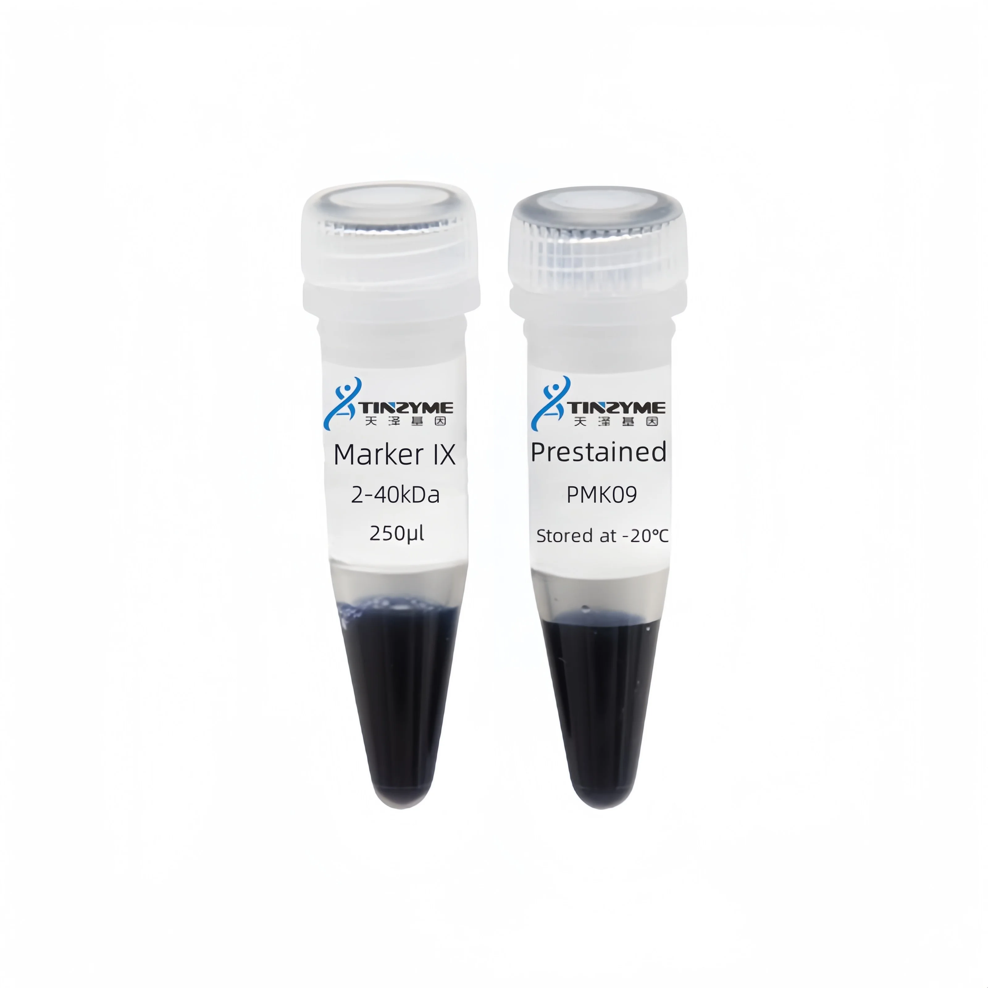 Tinzyme Prestained Protein Marker IX (2-40kDa) . Suitable As a Protein Molecular Weight Standard for SDS-PAGE and Western Blot.