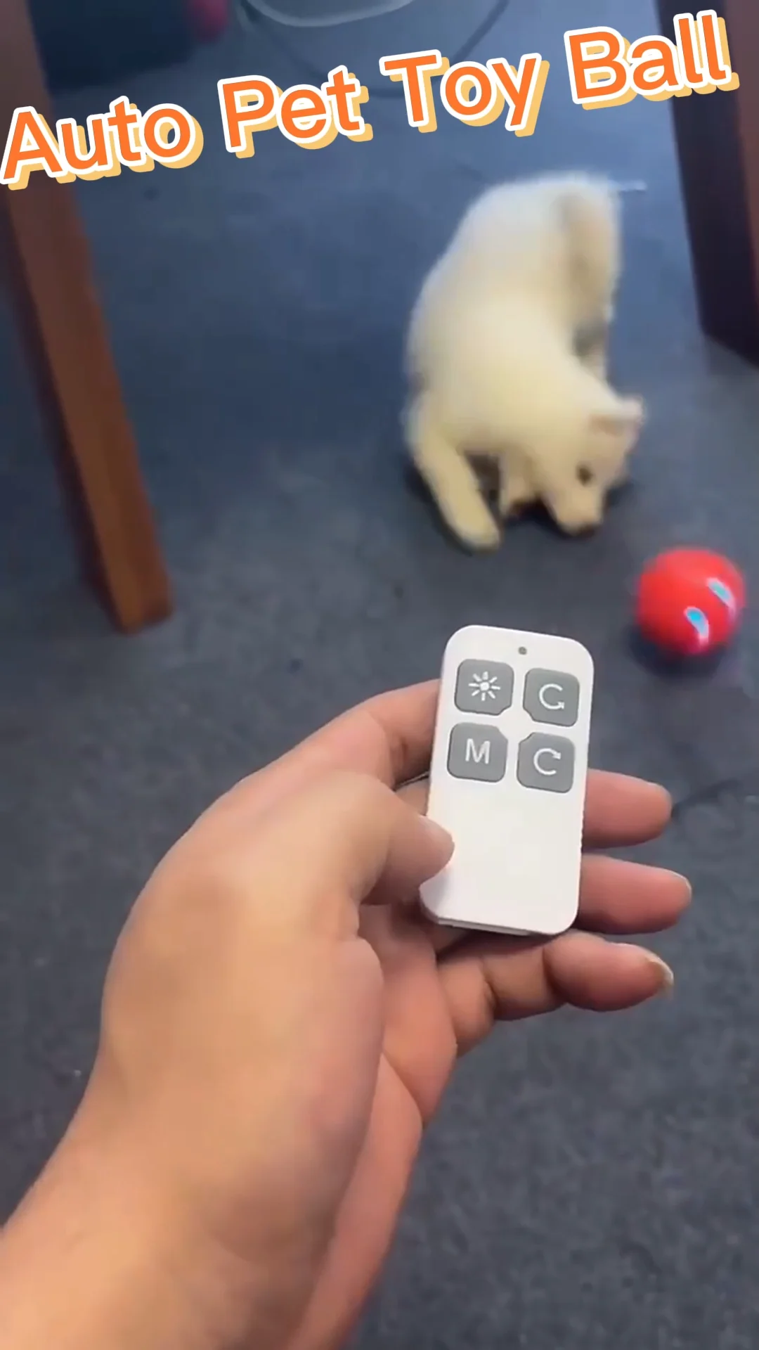 Hottest Selling Interactive Intelligent Remote Control Dog Training Ball Chew Electric Pet Toy