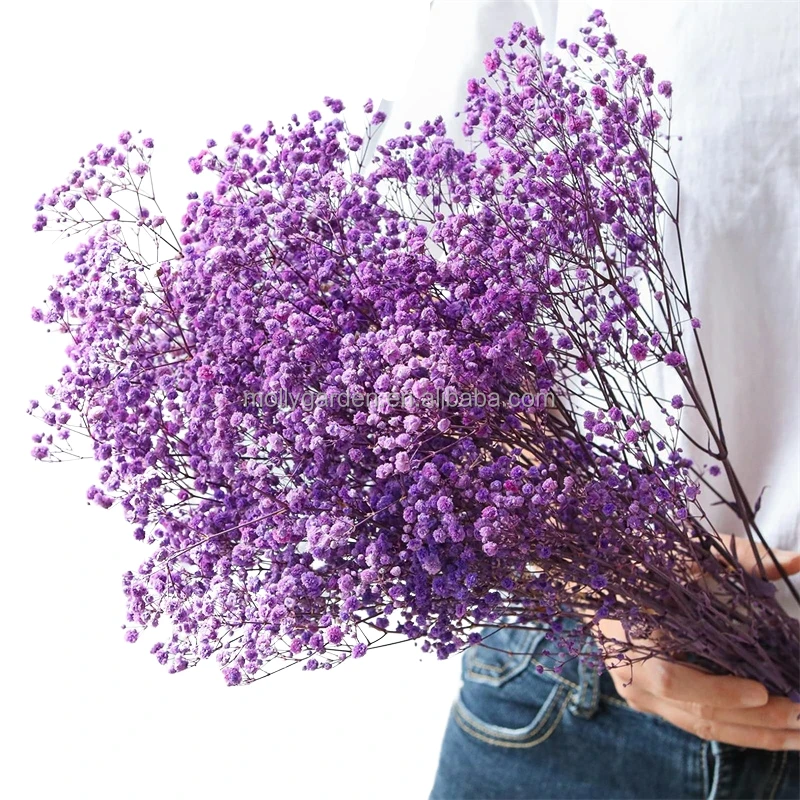 2023 Customized Preserved Flowers Natural Preserved Gypsophila Preserved Babys Breath For