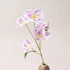 Una sola rama de color violeta pálido.