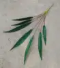 Green 1
