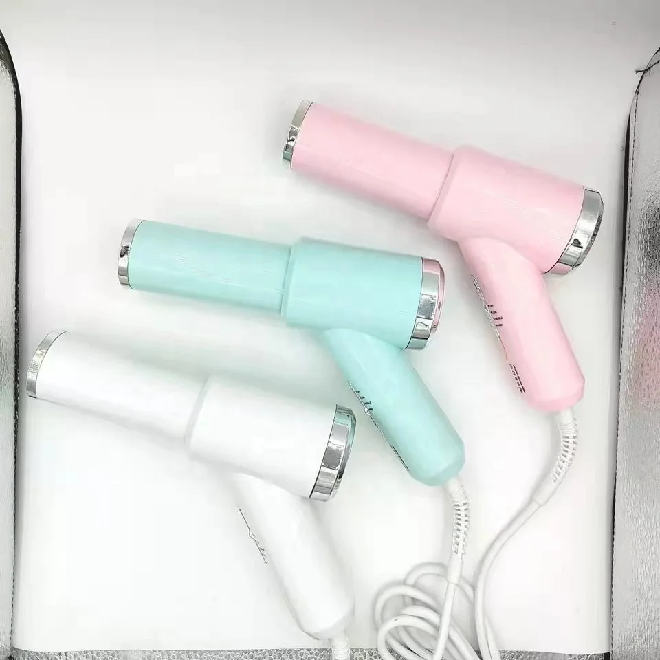 2 in 1 Private Label Pet Cleaning Electric Hair Dryer Slicker for Dog Cat Grooming Slicker of Combing and Drying