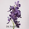 DK Púrpura