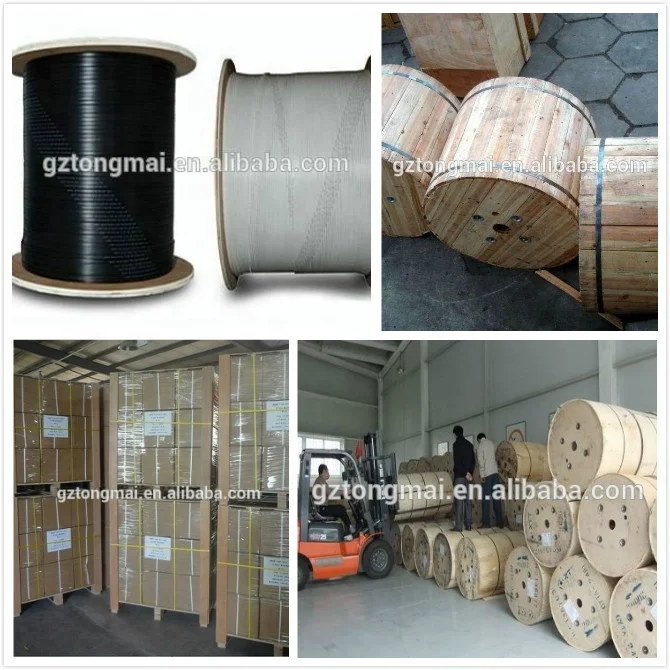 Best Seller Tongmai Manufactures Fiber Optic Cable 12 Core Single Mode