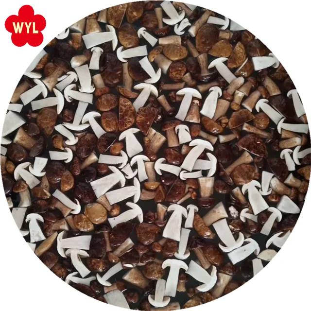 boletus edulis halves