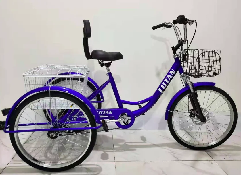 3 Wheel Adult Bicycle Triciclo Para Adultos Cargo Tricycle Trike for Sale
