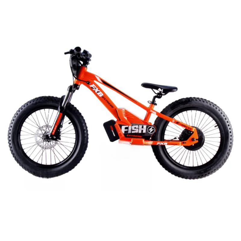 Bici Elettrica da Equilibrio per Bambini e Adulti da 20 Pollici, Motore al  Mozzo da 36V 400W, Batteria al Litio da 36V Bici Elettrica a Spinta