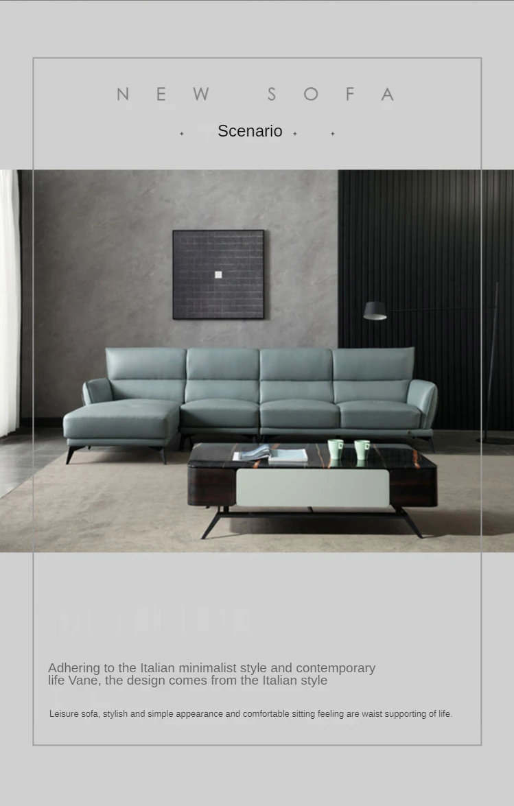 Afica home furnishing set modern style living room furniture sofa