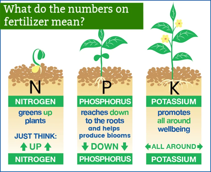 Npk 30 30 30 - Buy N-p-k 30-10-10 Soluble Fertilizer,N-p-k 15-15-15 ...