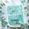 Arôme Eucalyptus