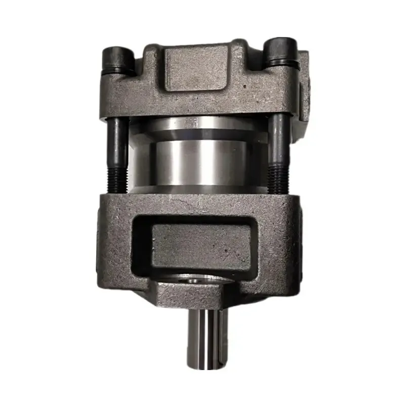 ※※専用※※ Double Gear Pump QX6262-80-80-S1361 - Fast Hydraulic Delivery