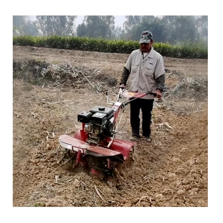 Factory Price Tractor and Rotary Tiller for Sale Mini Power Tiller