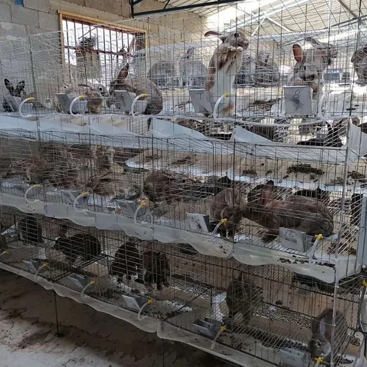 Animal Breeding Cage Commercial Rabbit Cage 3 Layers 9 Cells Welded