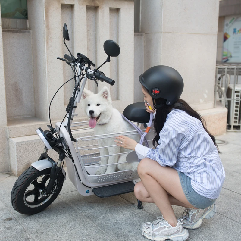 Sidecar Dog Carrier For Vespa Scooter Moped With Dog Carrier