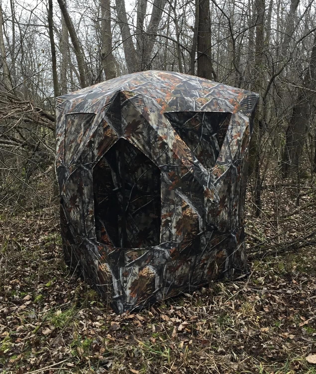 Cacciatori Con Una Pistola E Un Drathaar Tedesco Caccia Del Piccione I Cani S Alla Ricerca Della Preda Nella Steppa Cacciatore Image141229119 - Foto 5