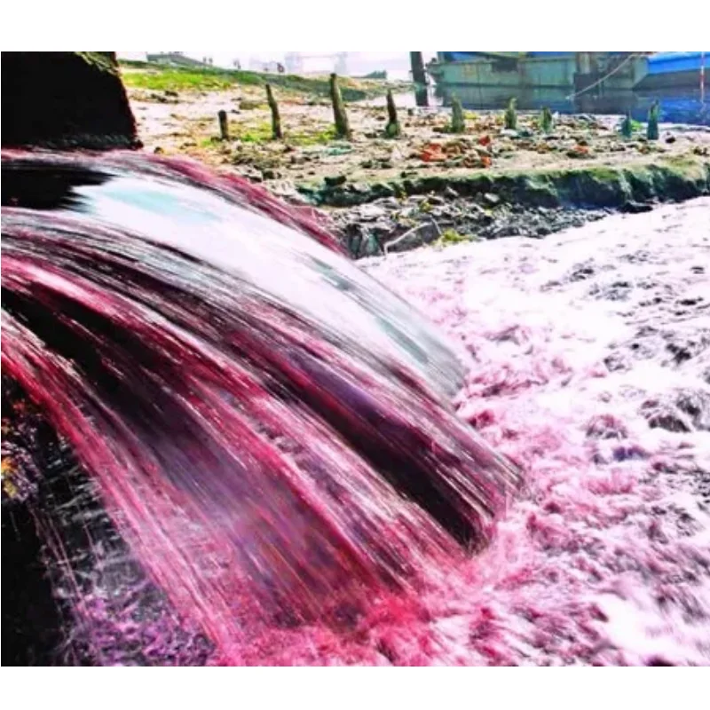 Printing/Dyeing Sewage Treatment Plant Dissolved Air Flotation DAF System Waste Water Treatment Plant