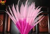 Moitié teints chaude rose et rose