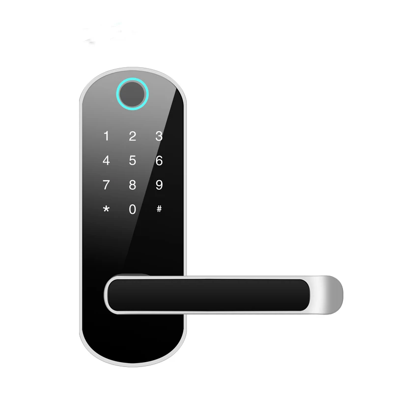 Smart Bluetooth Fingerprint Door Lock With TTLock App Touch Keypad Electronic Fingerprint Handle Cerradura Inteligente