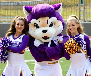 Shengye Sports Mascot Costume Cartoon Football Basketball Event Cosplay EVA Plush Wolf Lion Mascot Costume for Fancy Advertising