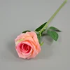 Pink 2