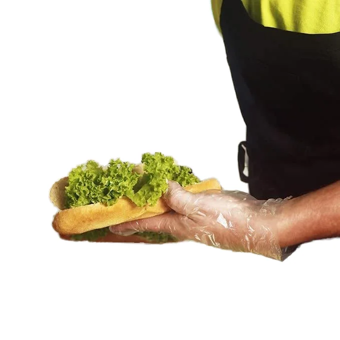 High Quality Disposable TPE/CPE/PE Gloves clear Plastic for Home Restaurant Fried Chicken Pizza 100PCS/bag