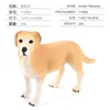 T15062 Golden Retriever 20g