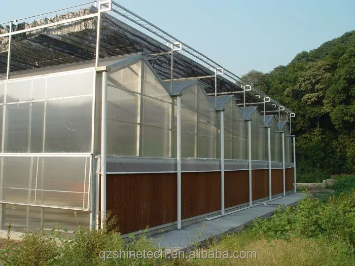 Agricultural Intelligent greenhouse