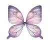 #8Multicolore