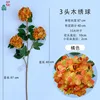 Hortensia de 3 cabezas DG naranja