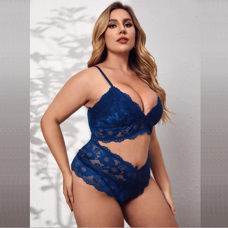 Wholesale European Size Sexy Lace Bra Brief Sets Plus Size Bra Setxxx C
