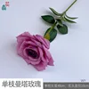 Single Manta Rose WY, Light Purple