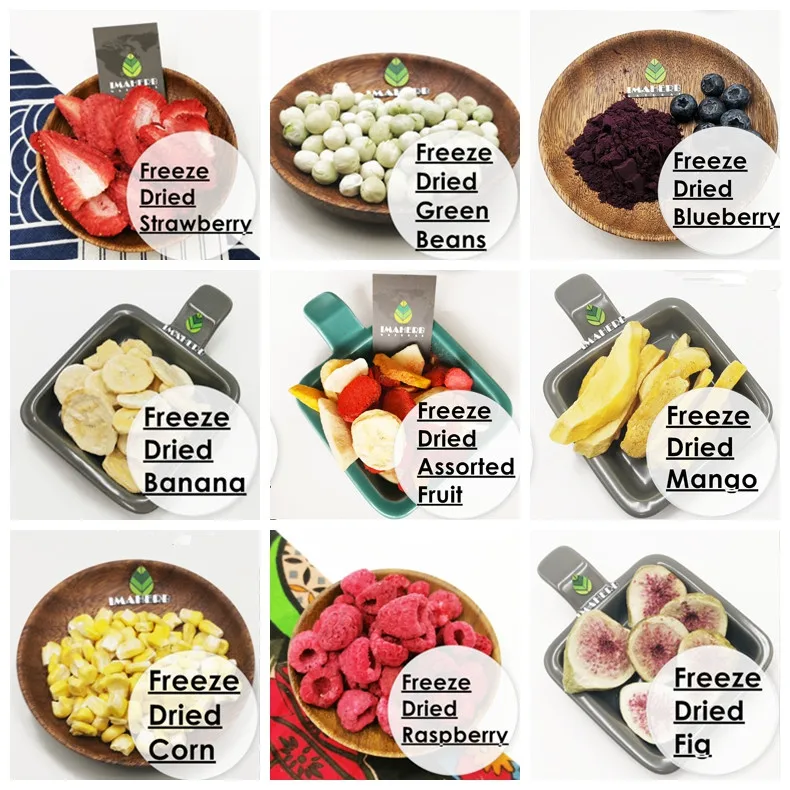 AOGUBIO OEM оптовая продажа порошок пробиотиков Lactobacillus Plantarum 10 миллиардов CFU