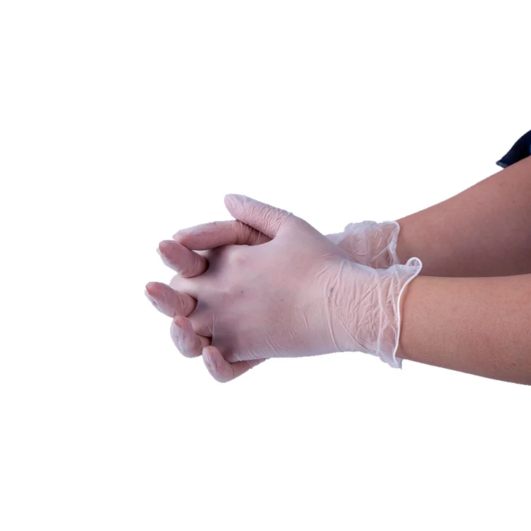 Guaranteed quality proper price disposable clear food prep vinyl gloves latex free powder free