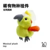 Cockatiel-sings learns to speak flaps wings can communicate