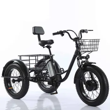 Factory stock Made in China wide tire off-road fat tire electric tricycle pedal assisted electric motorcycle Snowmobile