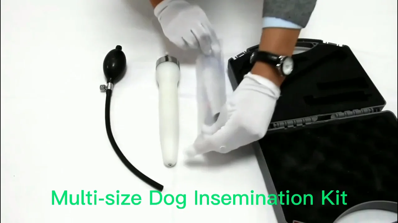 Dog Veterinary Equipment Manufacturing Artificial Insemination Digital ...