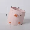 Pink Pig