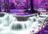 Cascade de la forêt violette