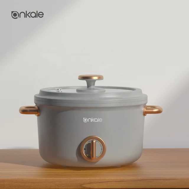 CB certificate  Korean  multi-function Hot pot Electric cooking pot and the national small home appliances multi cooker