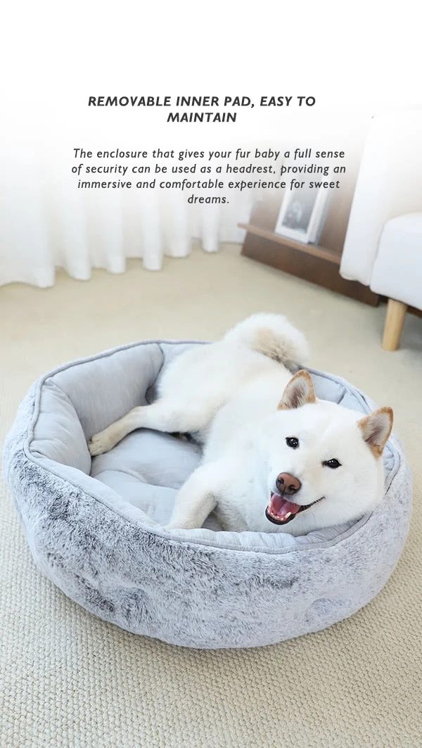 New Pet Dog House cat House Four Seasons Durable Breathable Pet House Small and Medium-sized Dog Pet Sofa Bed